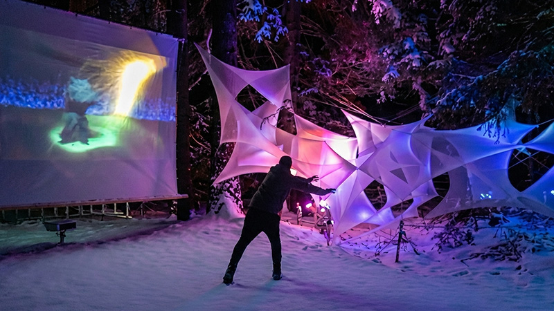 ewz Zauberwald Lichtinstallation